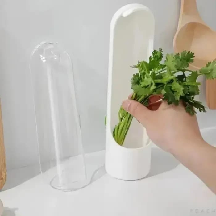 Boîte de conservation des légumes à la vanille