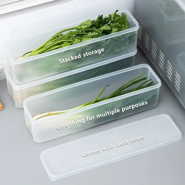 Cilantro – boîte de rangement d'oignons