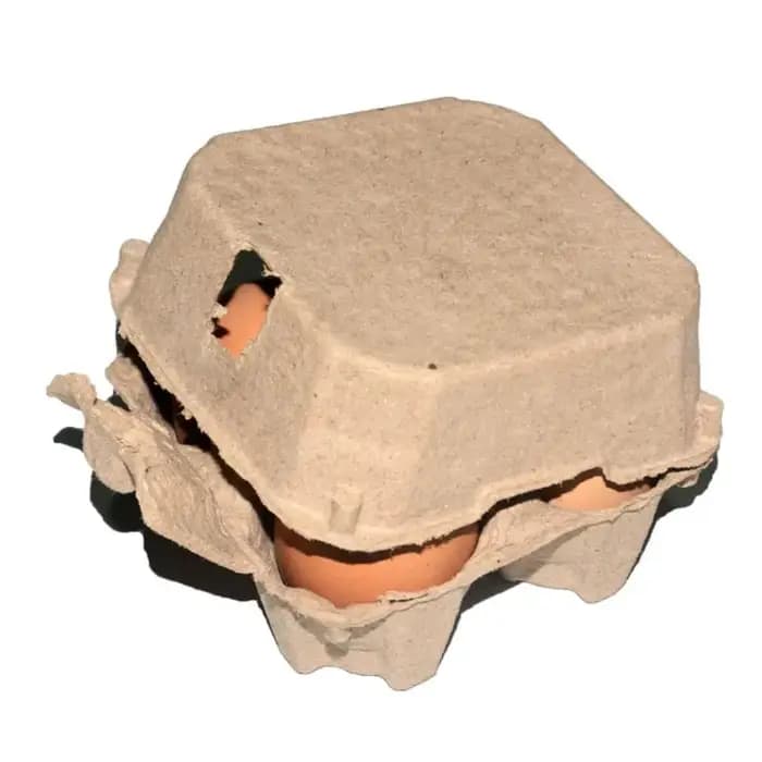 Lot de boîtes de rangement en papier kraft pour œufs
