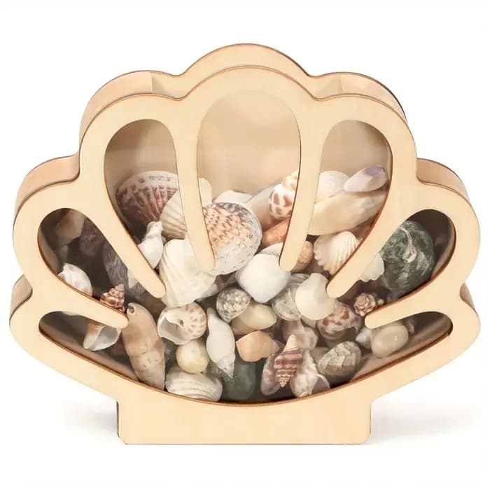 Boîte de présentation en bois en forme de coquillage
