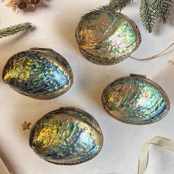 Boîte de rangement en coquille d'ormeau naturel