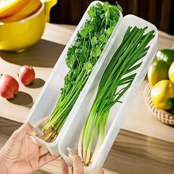 Boîte de conservation des aliments frais au réfrigérateur
