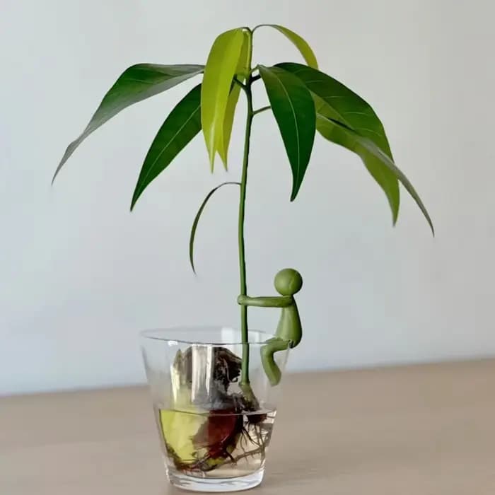 Support pour plantes coloré à 3 niveaux - Le support à fleurs en plastique présente un design unique, pratique pour la culture des plantes et le rangement des fleurs.