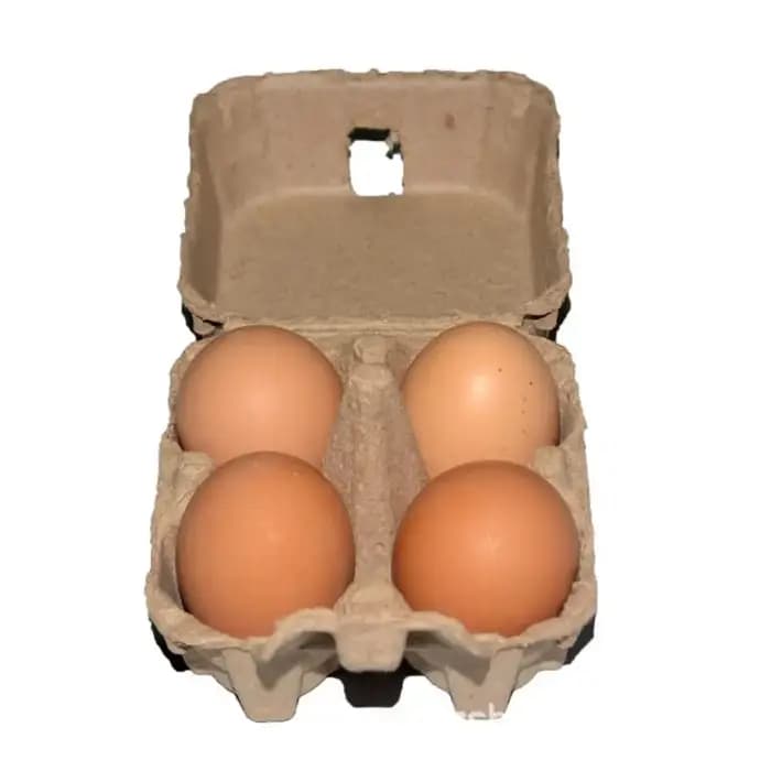 Lot de 10 boîtes à œufs créatives en pâte à papier à 4 compartiments