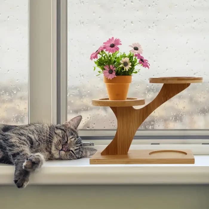 Étagère de pot de plantes d'intérieur, baie en bois massif succulente, étagère de pot de fleurs de s
