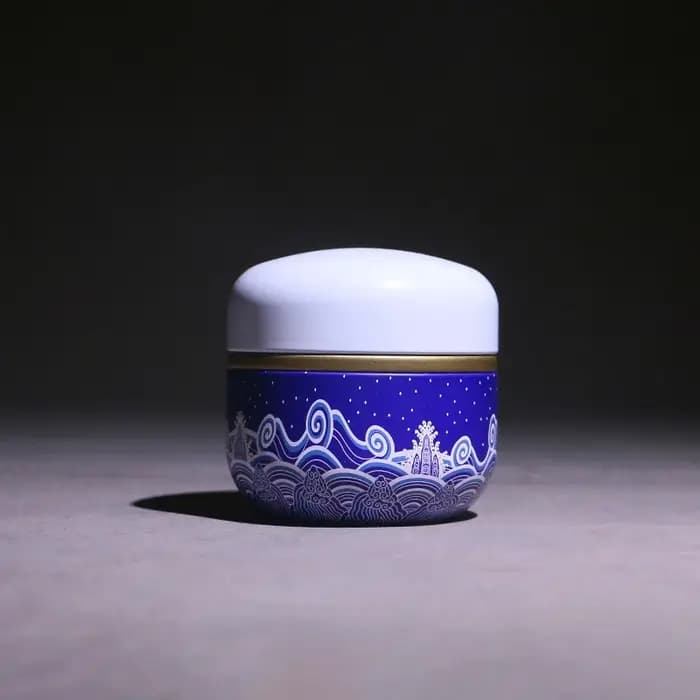 Boîte de rangement japonaise en métal pour thé et café, conteneur d'épices, mini caddie de stockage,