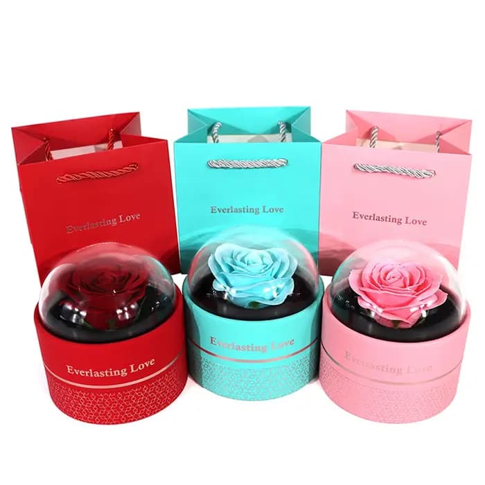 Magnifique boîte cadeau cylindrique en acrylique transparente pour bijoux : collier
