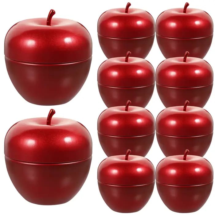Lot de 10 boîtes de rangement en fer blanc