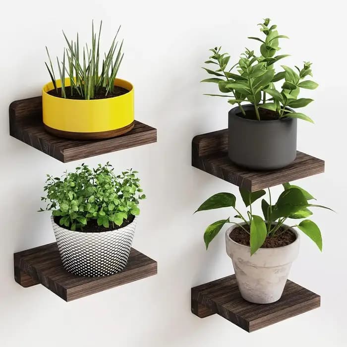 Paquet de 4 petites étagères flottantes pour mur, étagère en bois, présentoirs de 5 pouces, décor de