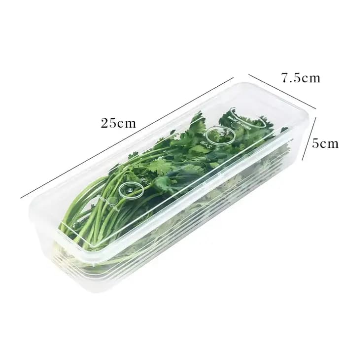 Lot de 1/2/4 boîtes de conservation hermétiques en plastique pour cuisine