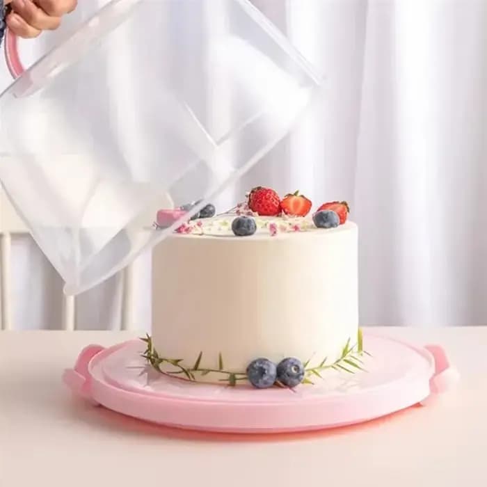 Boîte à gâteaux pratique pour la maison