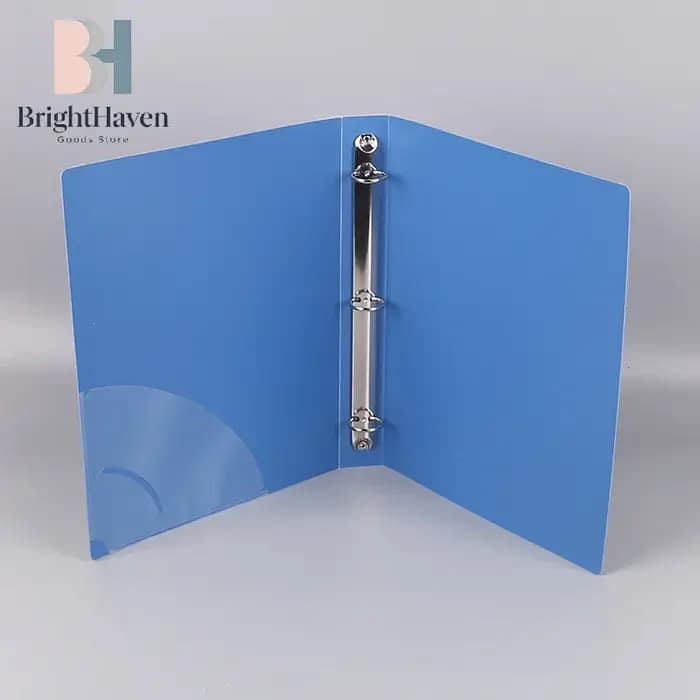 Organisateur de documents transparent pour classeur à feuilles mobiles