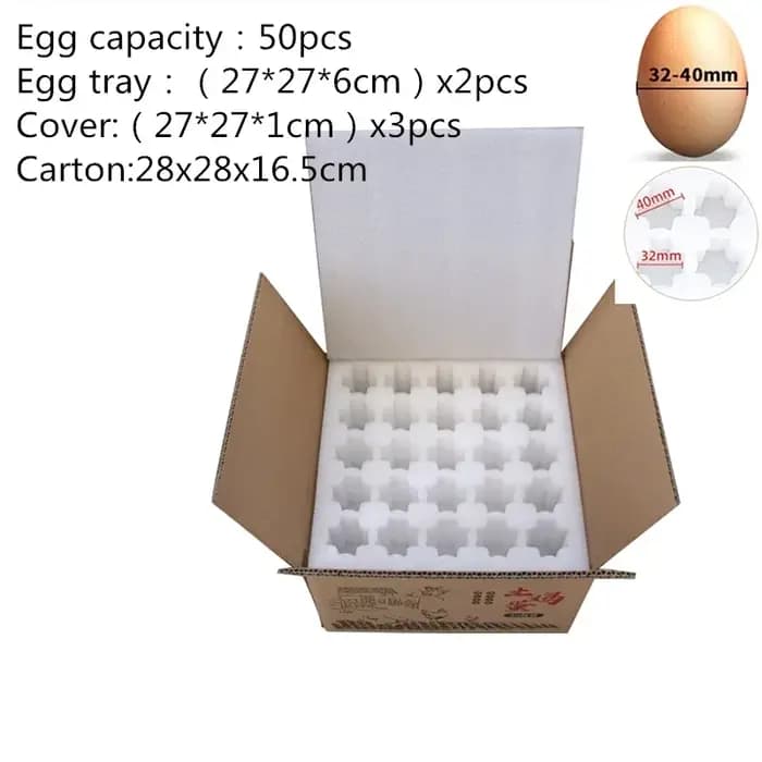 EPE Foaml paquet d'oeufs livraison Express Transport Quakeproof Anti-chute oeuf de canard prendre dans la mousse boîte