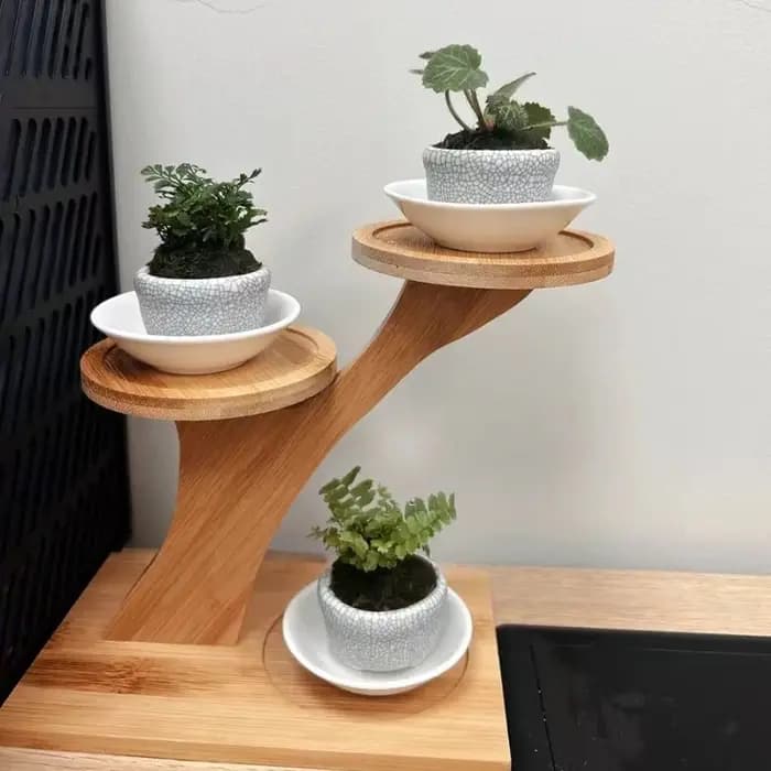 Support en bambou, étagère en bambou pour la maison/le bureau