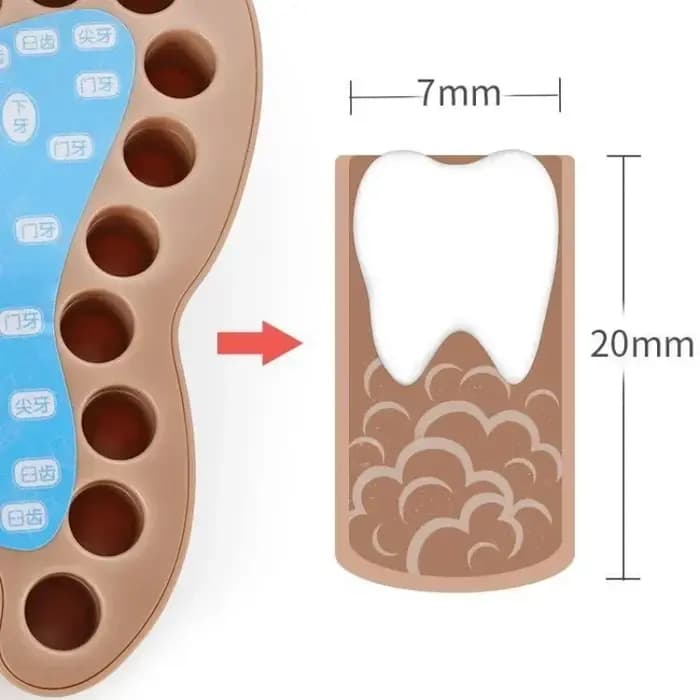 Boîte de Rangement des Dents de Lait pour Bébé