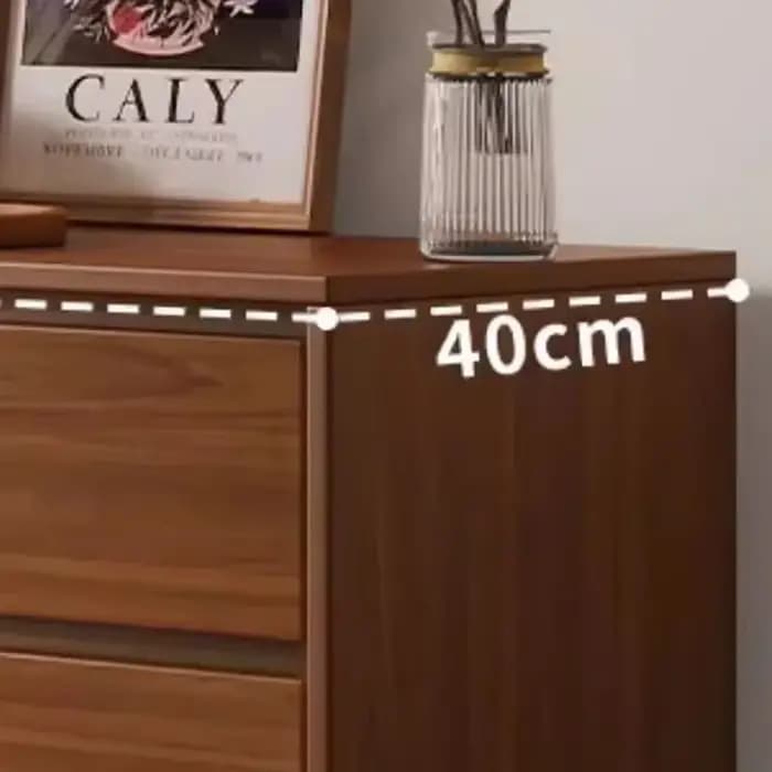 Meuble de Rangement Caché au Japon pour Salon