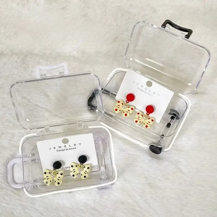 Boîte de rangement transparente mini valise