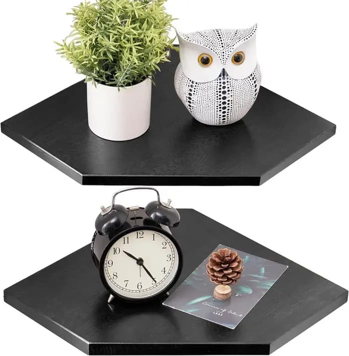 Étagères d'angle murales pour salon chambre présentoir en bois ensemble de 2 pour petites plantes ca