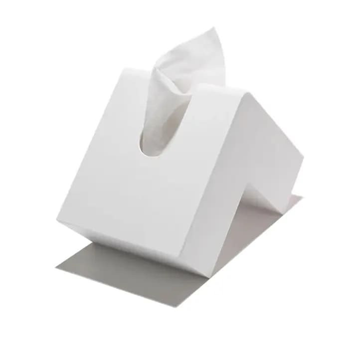 Boîte de Rangement de Mouchoirs en Forme de L à Usage Domestique