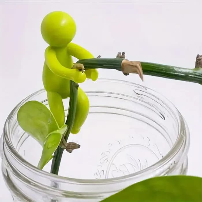 Support de plante en plastique, 3 pièces, Support de plante mignon, Arrangement de serre, tige fixe, Support d'escalade de vigne pour plantes à fleurs d'intérieur