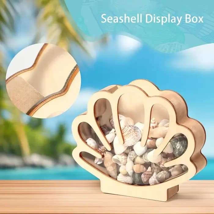 Boîte de présentation en bois en forme de coquillage