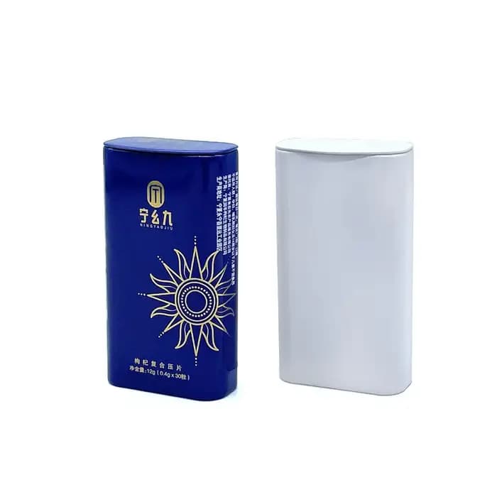Boîte de rangement portable en fer blanc avec couvercle rabattable