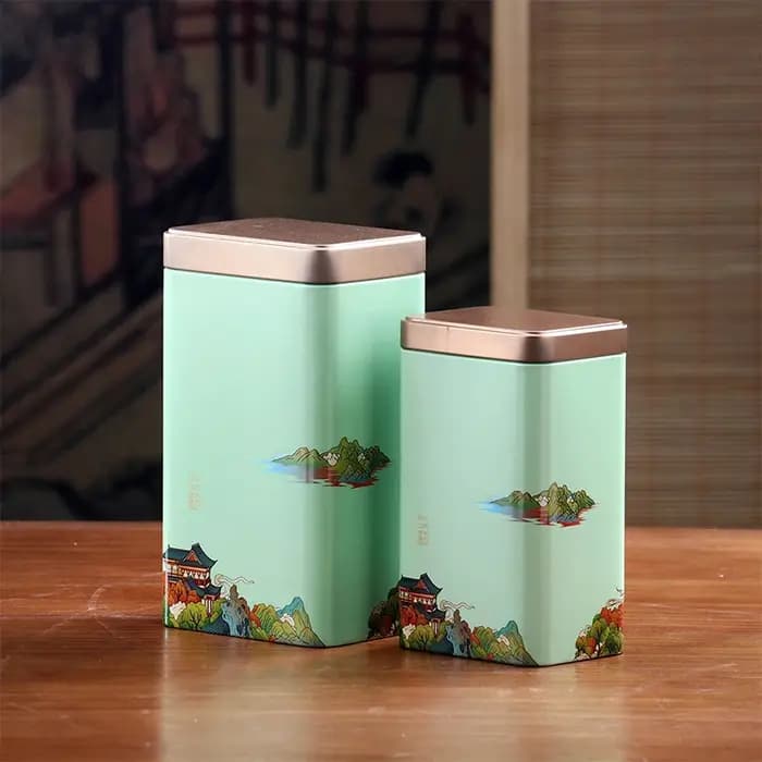 Petites boîtes de rangement d'épices en fer blanc