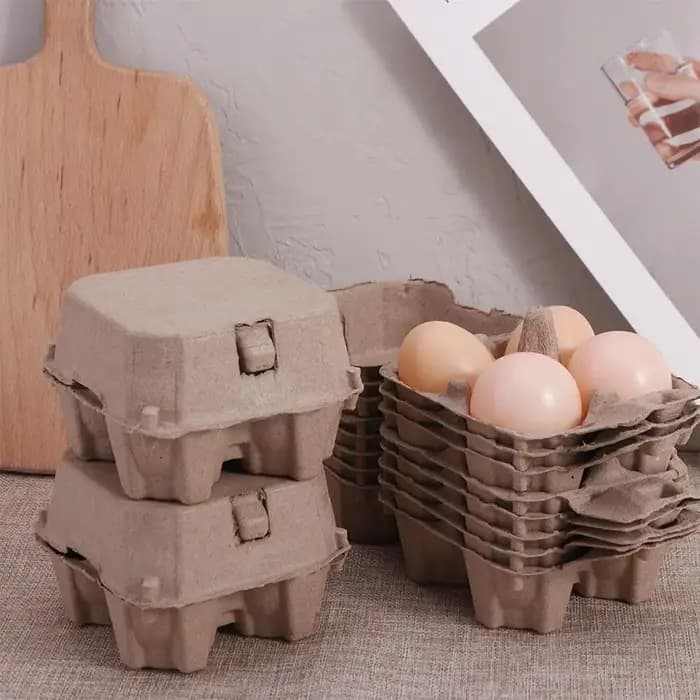 Cartons René en pâte de papier réutilisables pour la maison