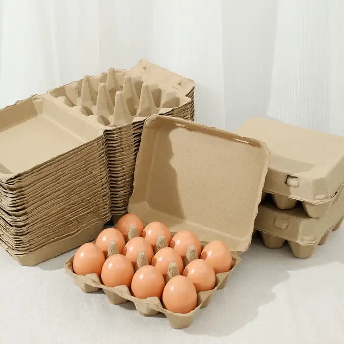 Plateaux de freins à œufs polyvalents pour la cuisine