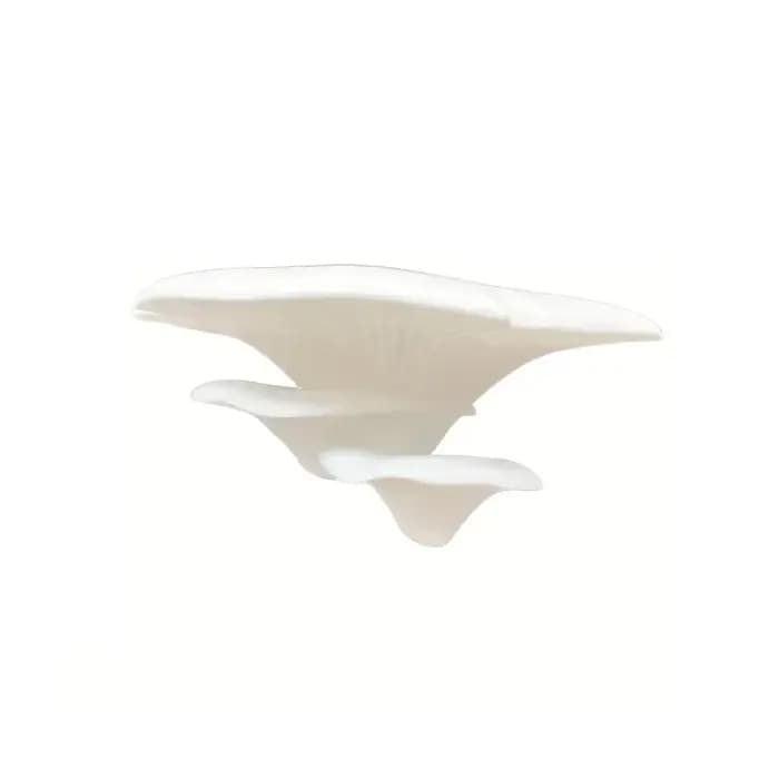 Étagère de rangement murale en plastique imprimée en 3D, petite étagère en forme de champignon, gain de place, étagère de rangement pour bureau
