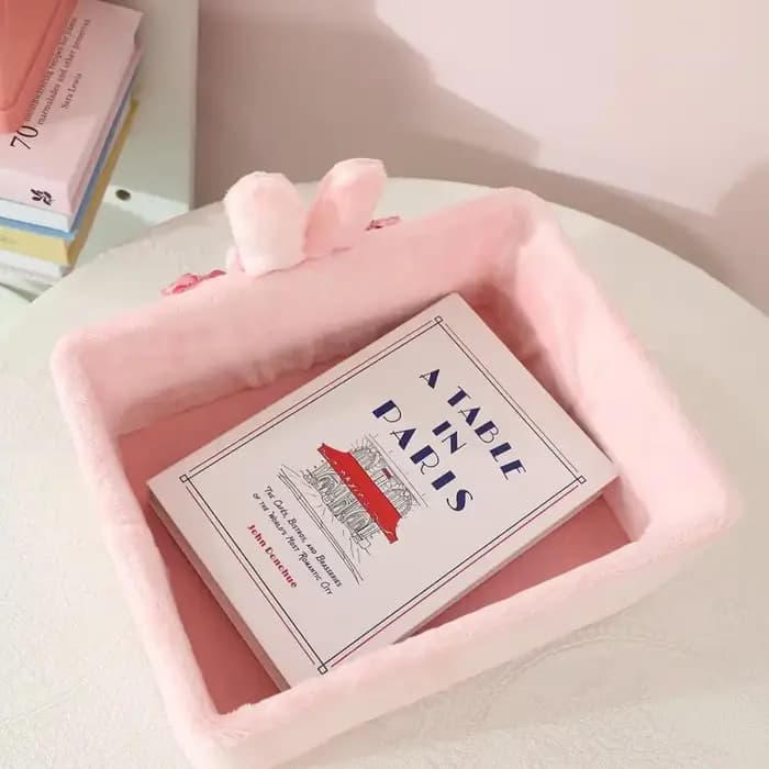 Boîte de rangement de bureau Kawaii, boîte de rangement en peluche pour cosmétiques et bijoux, décoration de chambre d'étudiant, cadeau de fête