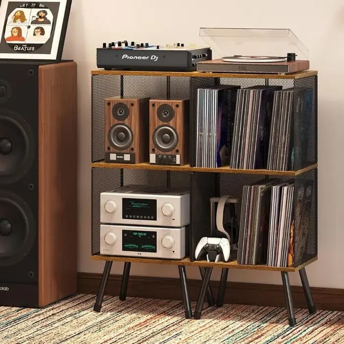 Étagère de rangement pour disques vinyles à 2 niveaux