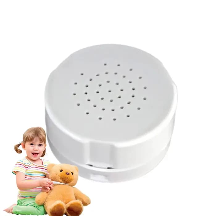 Boîte vocale en peluche réutilisable avec enregistreur de messages vocaux de 60 secondes et fonction d'ajout de style personnel