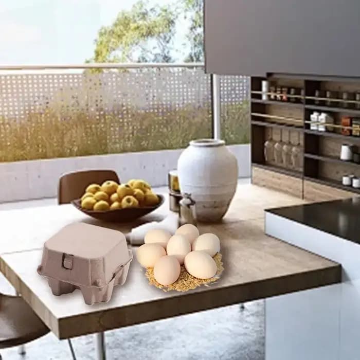 Cartons d'œufs en pâte de papier créatifs à 4 grilles