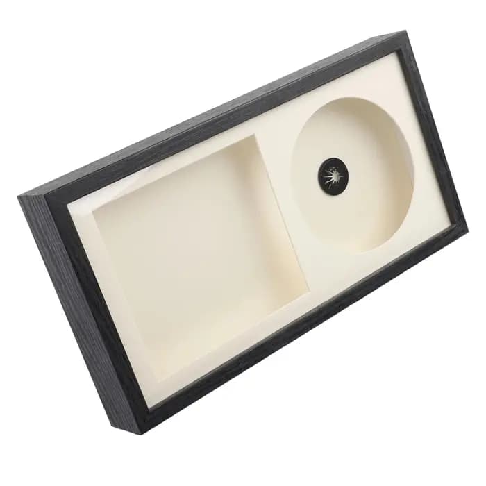 Support d'affichage pour CD avec protection anti-poussière transparente pour un rangement et une présentation sécurisés