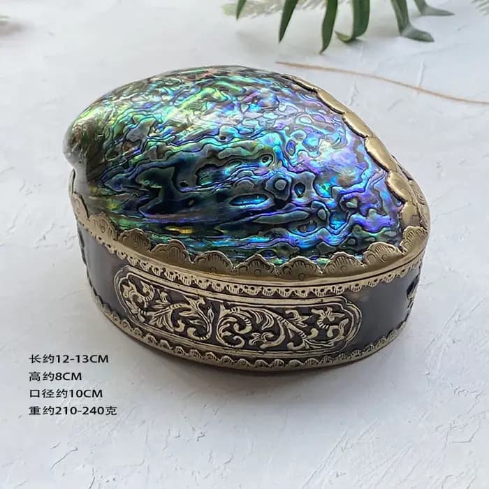 Boîte de rangement en coquille d'ormeau naturel