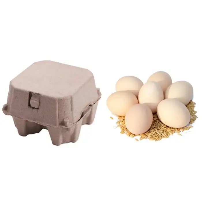 Cartons d'œufs en pâte de papier pratiques à 4 grilles