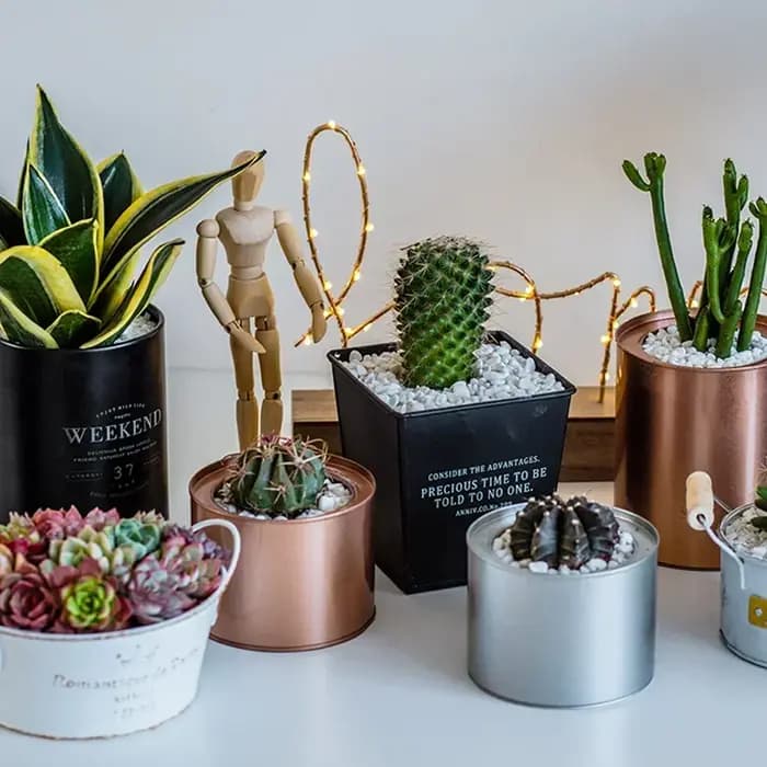 Boîte de rangement en métal pour aliments, bocaux scellés, boîte d'emballage de strass et de gâteaux, boîtes de café et de thé, 18 pots de fleurs, pot en pot, décoration d'intérieur, 12 pièces