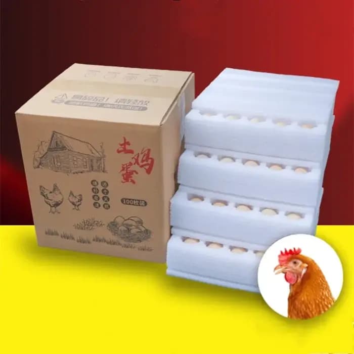 EPE Foaml paquet d'oeufs livraison Express Transport Quakeproof Anti-chute oeuf de canard prendre dans la mousse boîte