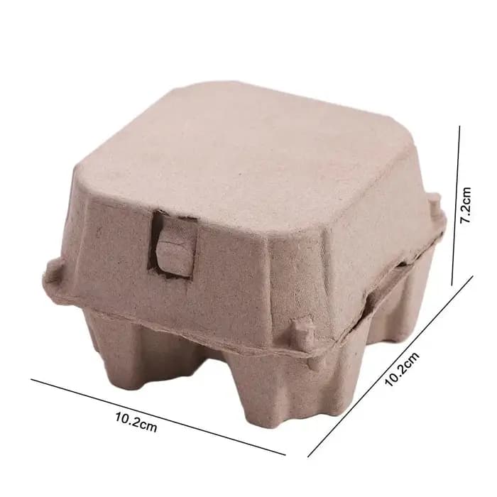 Cartons d'œufs en pâte de papier créatifs à 4 grilles