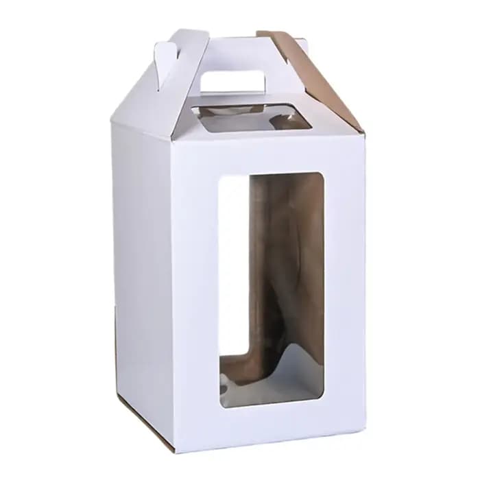 Grande Boîte à Gâteaux Polyvalente avec Fenêtre, Rangement des citrouille, Fêtes de Remise de Diplôm