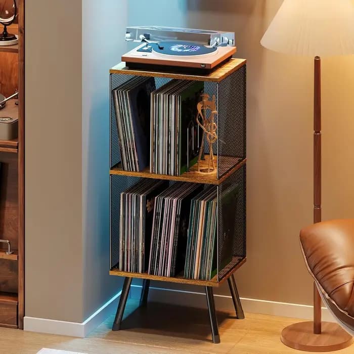 Étagère de rangement pour disques vinyles à 2 niveaux