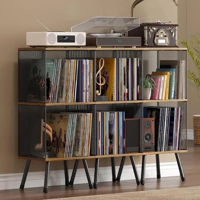 Étagère de rangement pour disques vinyles à 2 niveaux