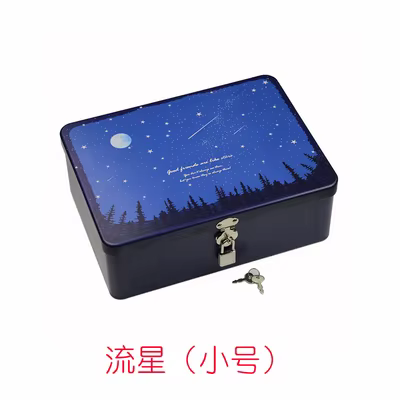 Petite boîte de rangement verrouillable pour cosmétiques et bijoux, boîte de rangement de bureau, bo