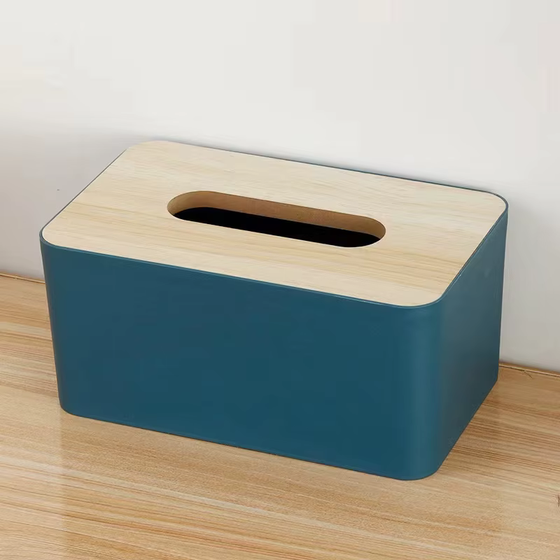 Boîte à mouchoirs en plastique, boîte de rangement de mouchoirs multifonctionnelle Simple et créativ