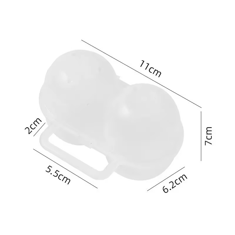 Boîte à œufs Portable d'extérieur à 2 cellules, plateau à œufs en plastique, réfrigérateur, boîte de