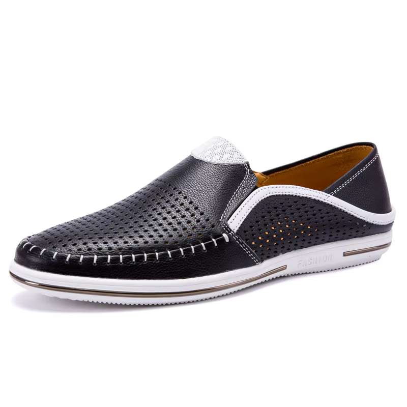 Mocassin respirant pour hommes, chaussures de conduite classiques, mocassins décontractés, creux, ha