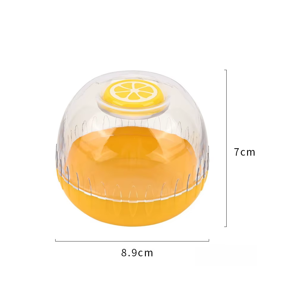 Boîte de conservation des fruits, réfrigérateur, conteneur de stockage scellé en plastique pour avoc