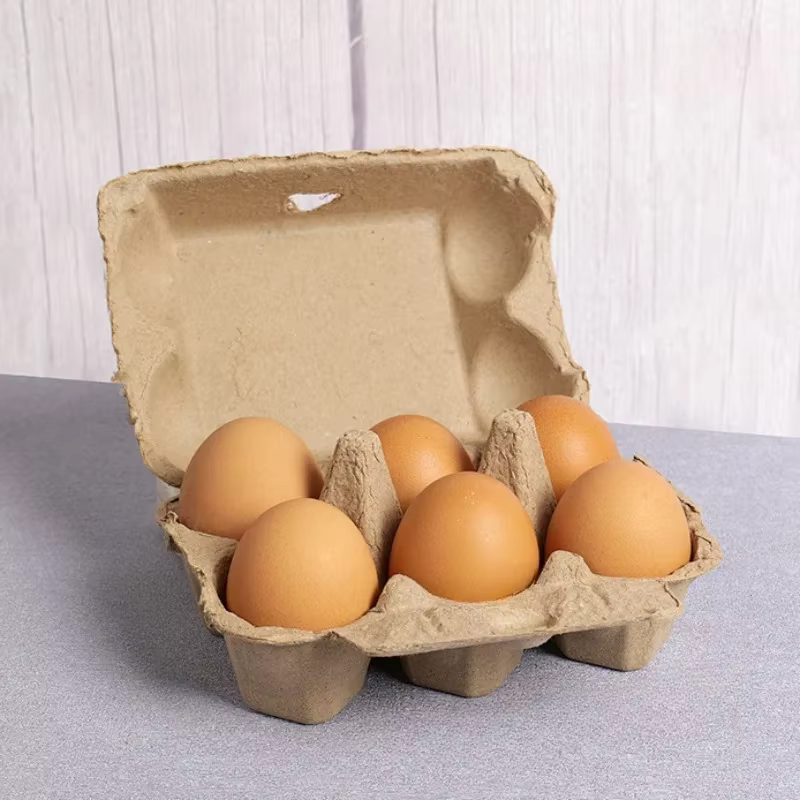 Boîte d'emballage pour 6 œufs, boîte à œufs en pulpe, support à œufs en pulpe, boîte de rangement po