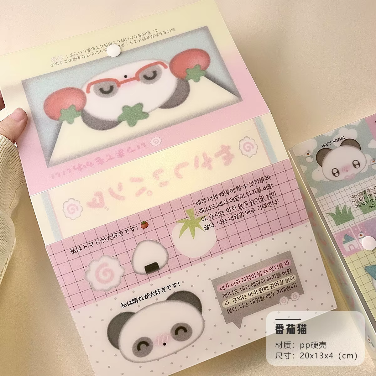 WAKAWAKA Panda conteneur de stockage boîte de rangement mignonne pour Arts bricolage artisanat Album